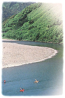 四万十川のカヌー